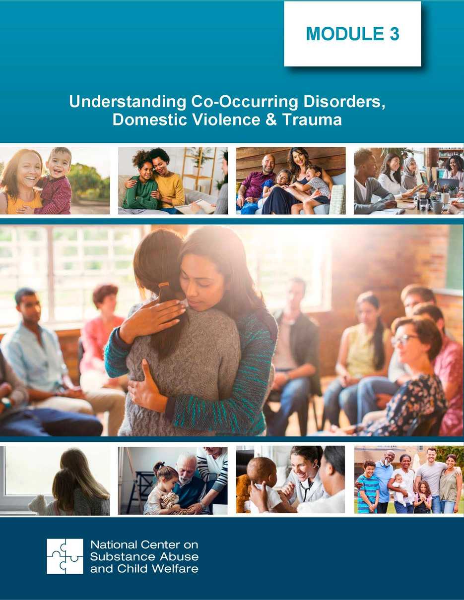 Child Welfare Training Toolkit | National Center on Substance Abuse and ...