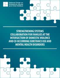 Strengthening Systems Collaboration for Families at the Intersection of Domestic Violence and Co-Occurring Substance Use and Mental Health Disorders